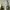 parl_06_05