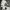 parl_06_11