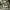 parl_07_05