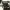 parl_07_06