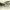 parl_07_11