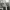 parl_08_02