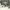 parl_09_11