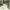 parl_09_12