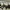 provincial_13_01