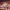 provincial_13_06