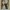 provincial_13_11