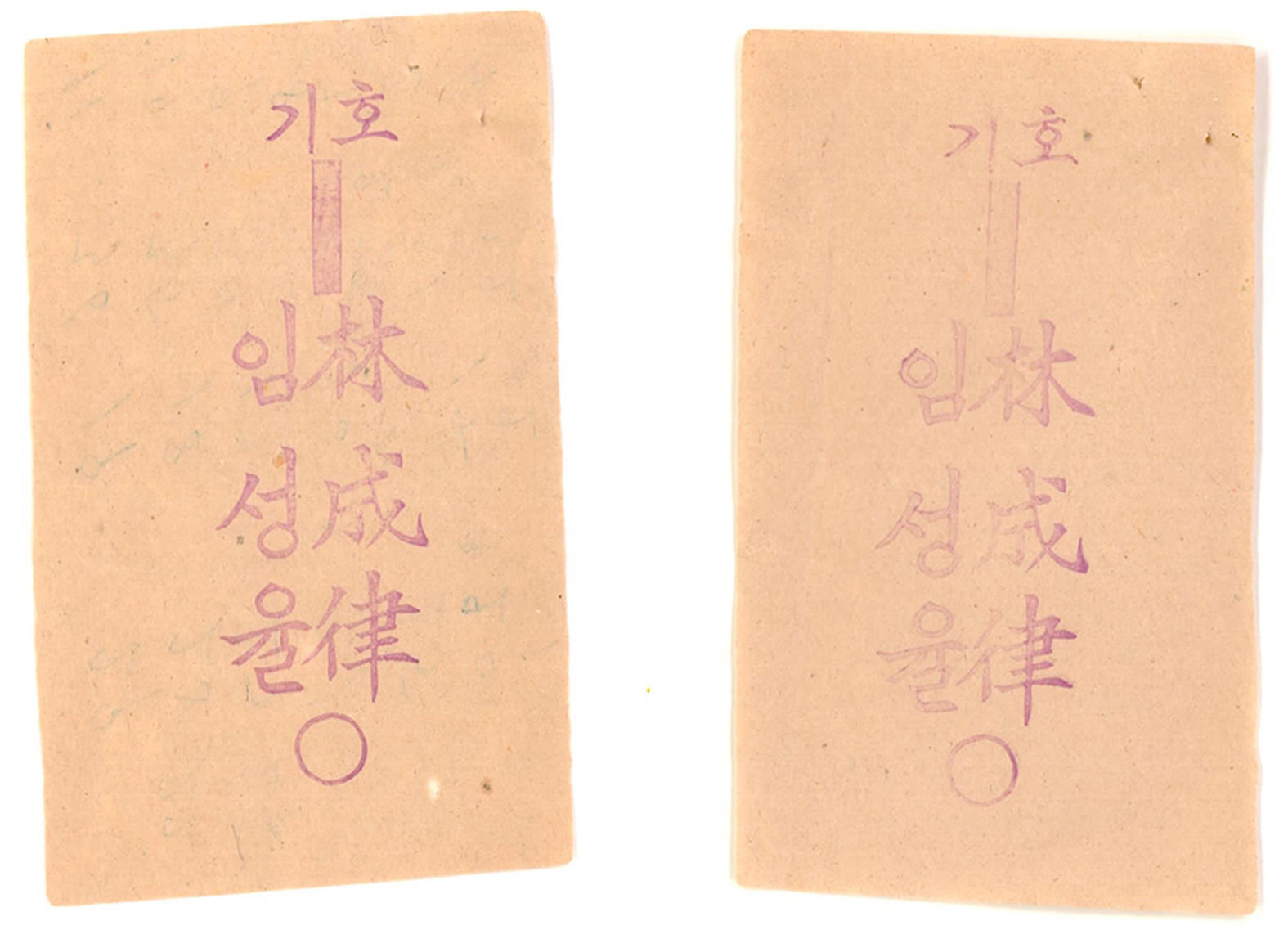 기호 1번 임성율 후보 명함형 소형인쇄물 등