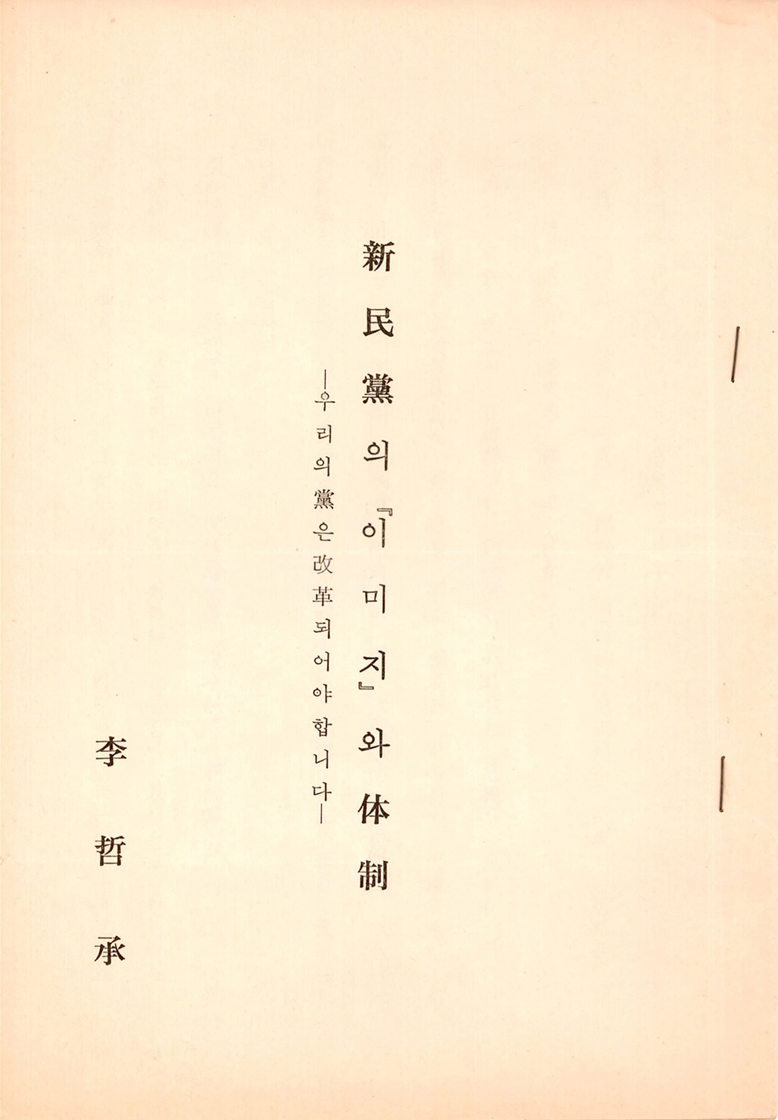 신민당의 이미지와 체제